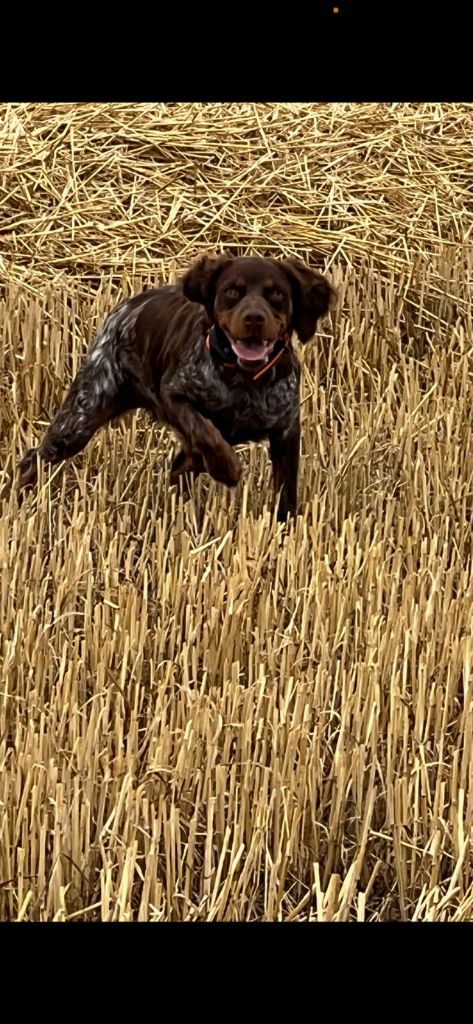 Aika Des Joyaux Miniers